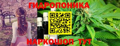 герыч Вязьма