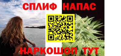 стаф Вязники