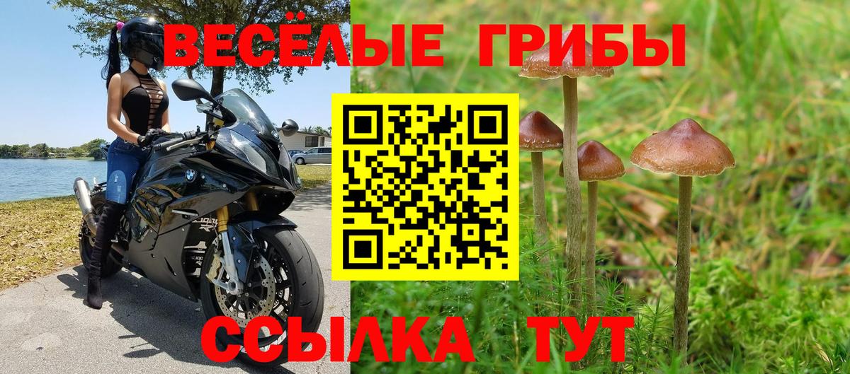 Батайск  Галлюциногенные грибы Psilocybine cubensis  Галлюциногенные грибы Magic Shrooms  Вход с VPN 